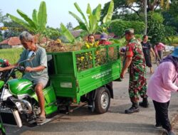 Karya Bakti Koramil 1008/Buahdua, Ciptakan Lingkungan Bersih dan Asri