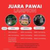 SDN Sukaraja II Juara Lomba Pawai Lampion Tingkat SD/MI